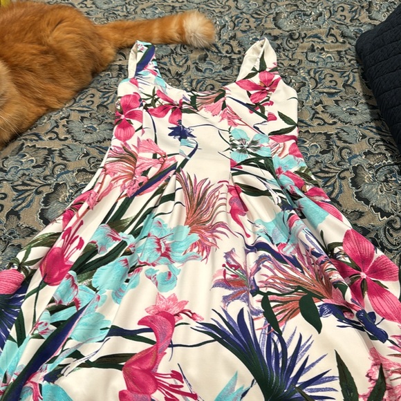 Boston proper fit and flare floral dress size 8 - Picture 5 of 6